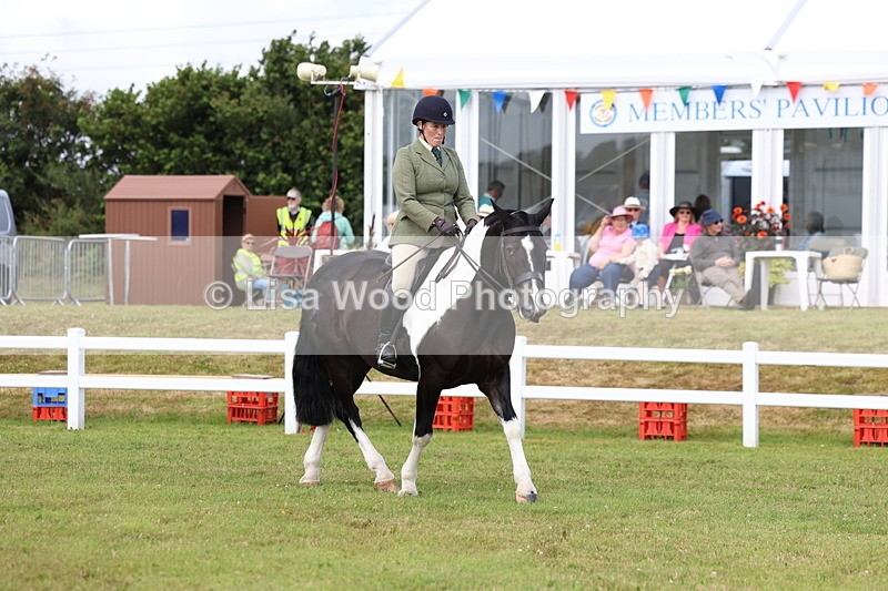 3E7A0316 - Class 6: Rising Star Maxi Cobs