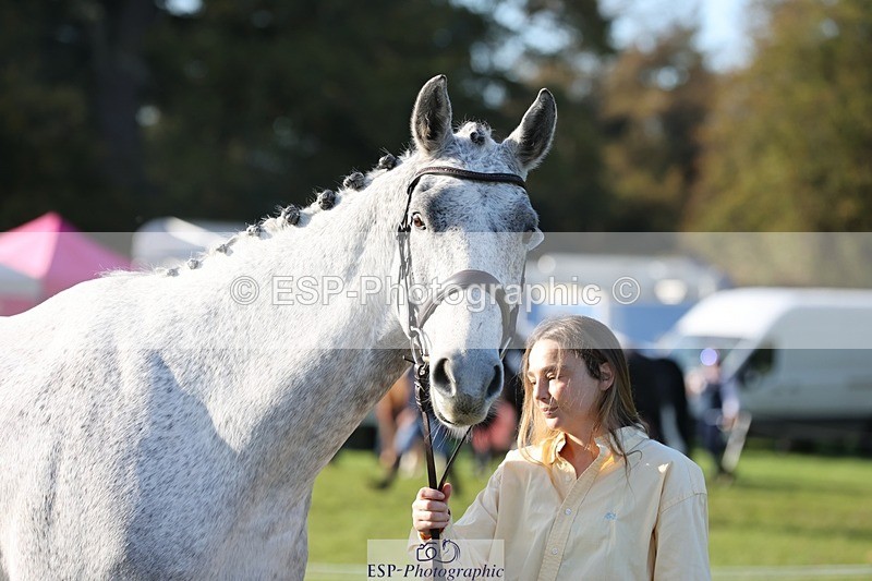 241027-100443-15676 - 549-Hannah.Wells-DEARDS.SIR.KNIGHT