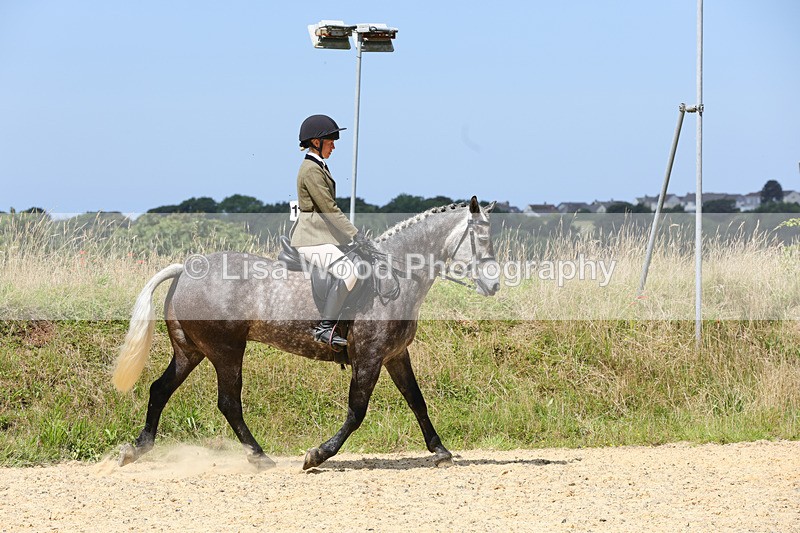 1X9A8778 - Class 19: Riding Club Horse