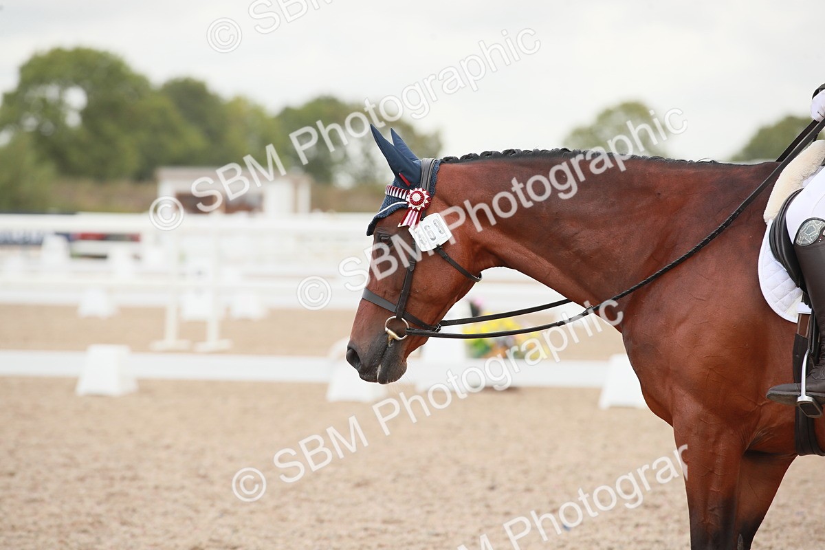 SBM_03801 - Class 31 - Prelim 1