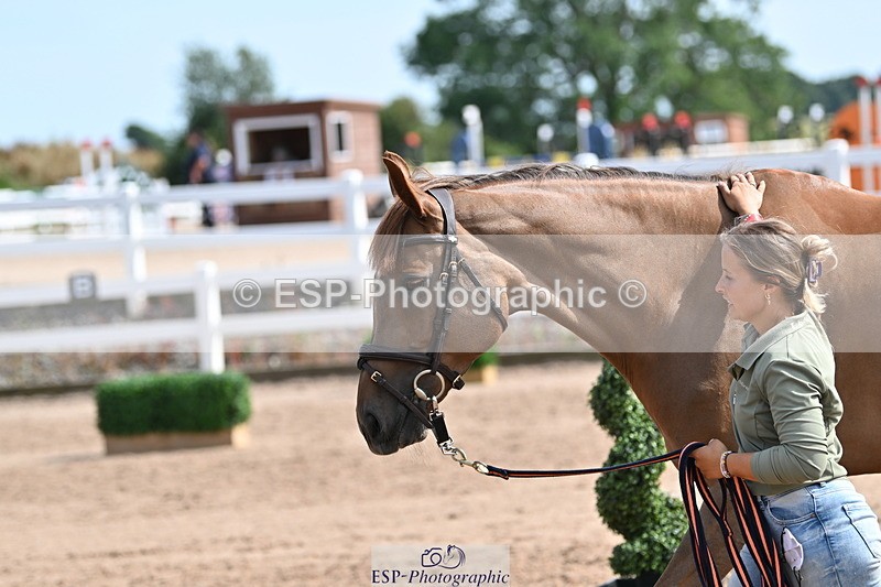 240717A-160708-03319 - Trot Up 4pm to 5pm