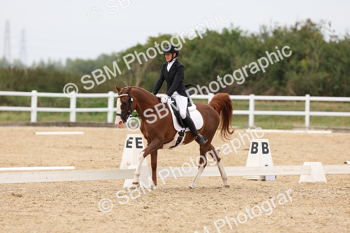 SBM_02081 - Class 8 - Novice 27 Champs