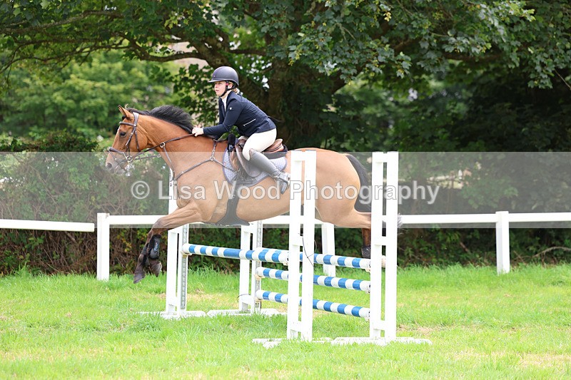 3E7A7105 - Class 5: Senior British Novice/90cm open