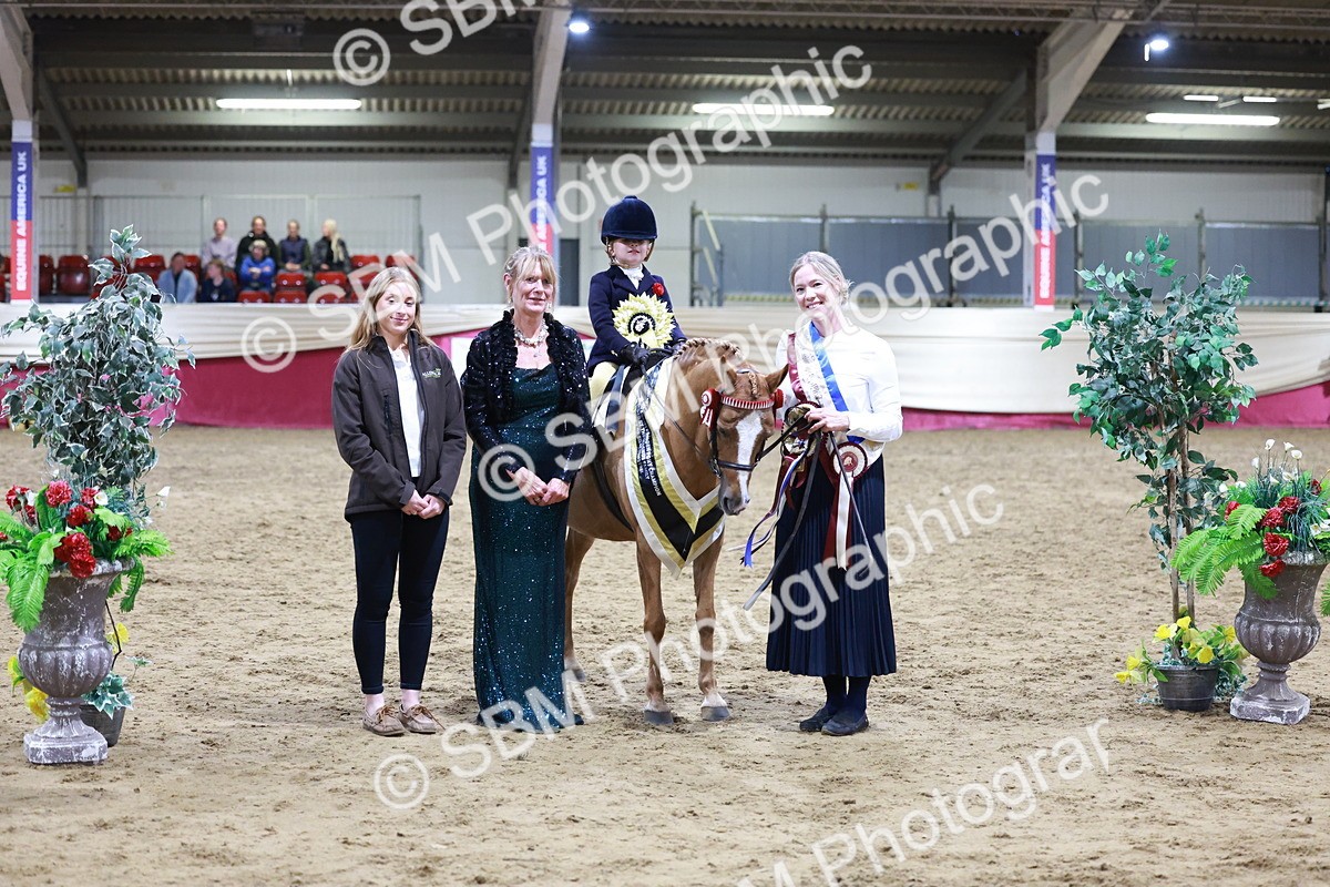 SBM_20580 - Class H - IH Competition - Riding Club champ