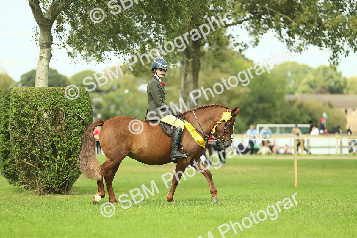 SBM_44850 - Working Hunter Pony Supreme Championship