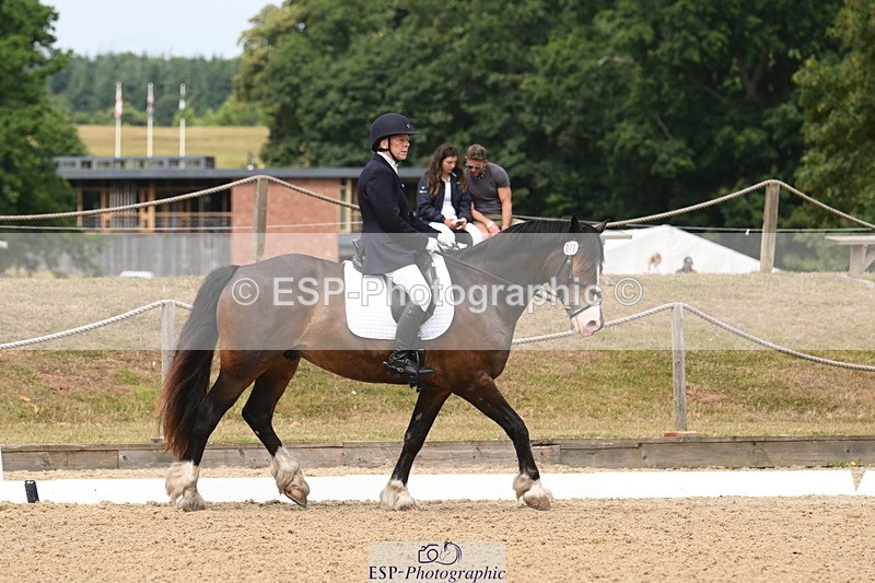 250720A-115844-10106 - 079-Amanda.Williams-Llanarth.Westminster