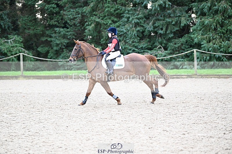 241117-094618-03049 - Cls 1 70-75cm 9.00 to End