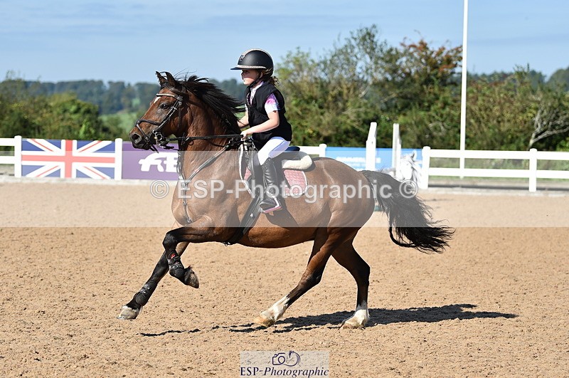 230903A-101728-03934 - Cls 18 Pony Brit Novice & 80cm Open