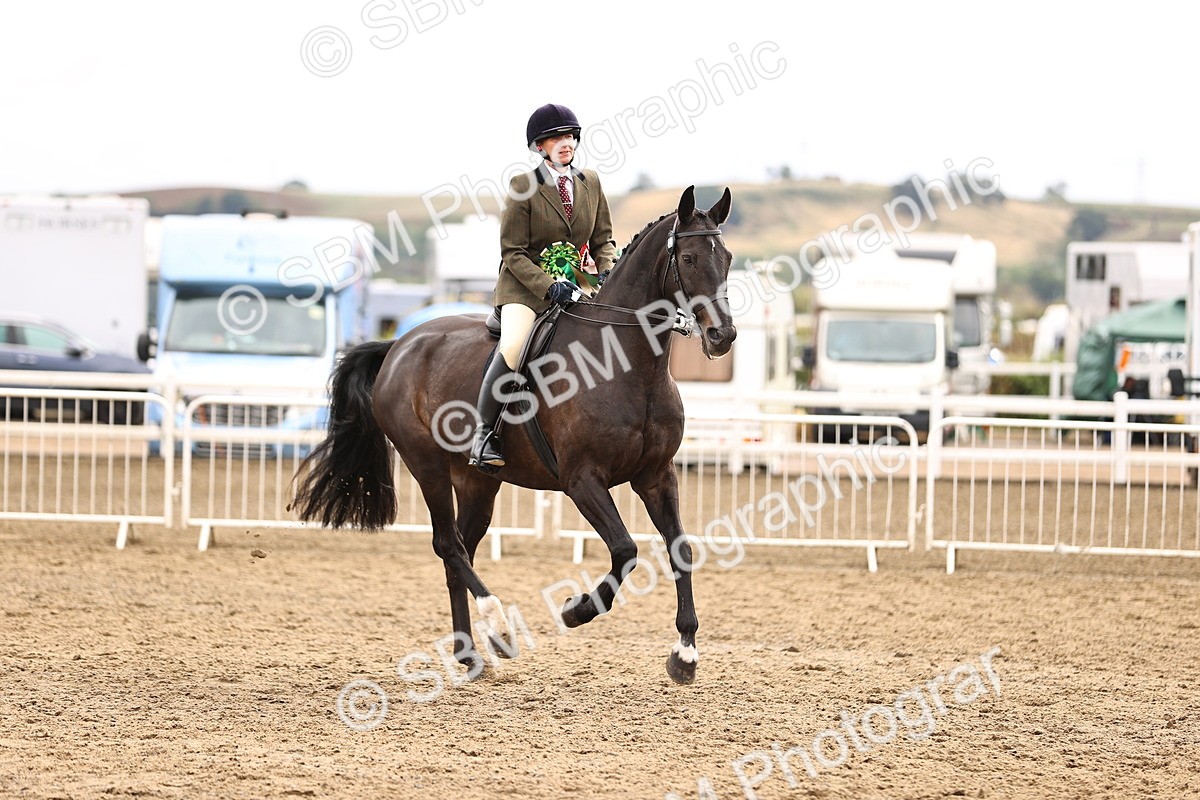 SBM_00709 - Class 53 - Ridden Competition Horse Pony