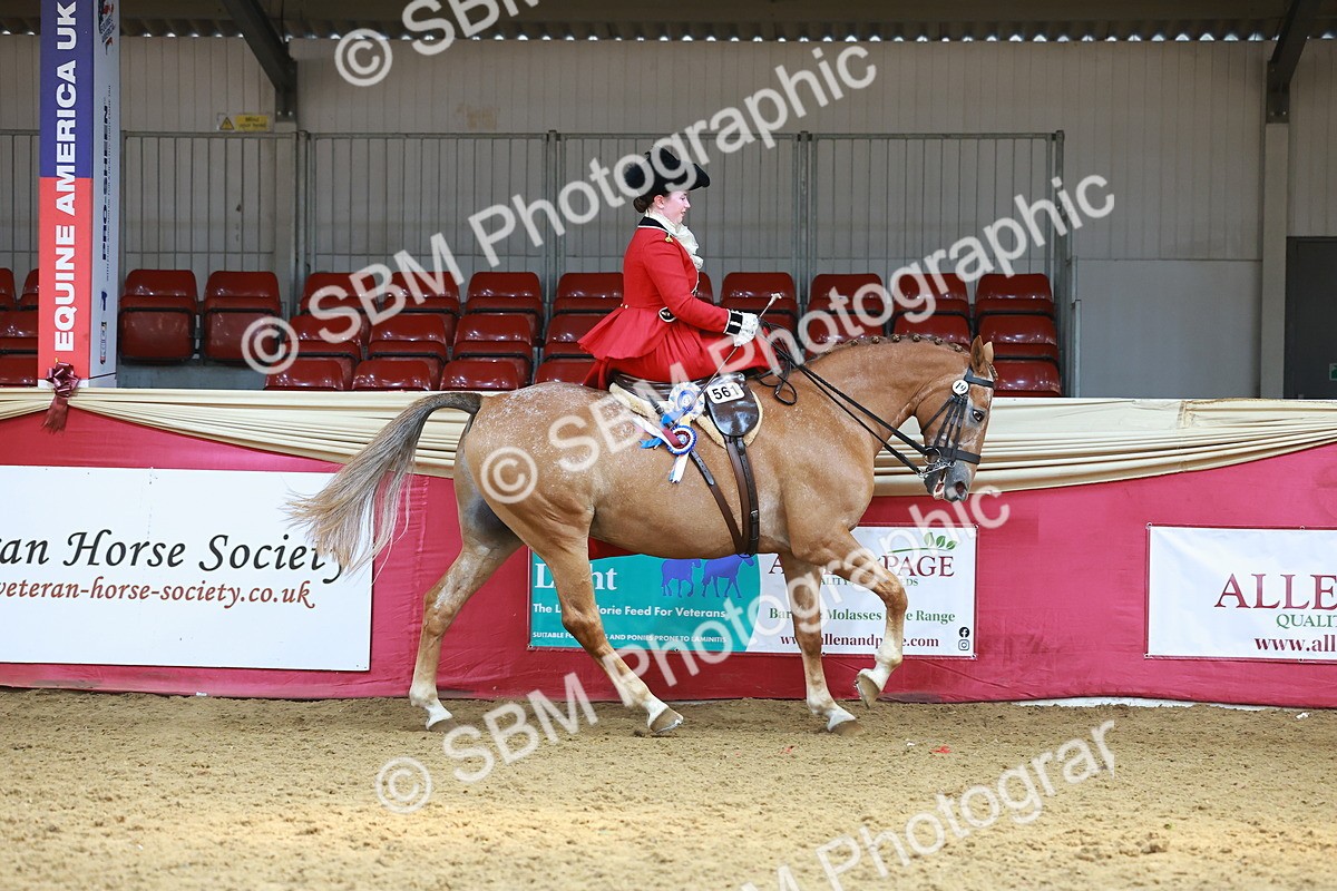 SBM_13925 - Class 106 - Ridden Costume - Side Saddle