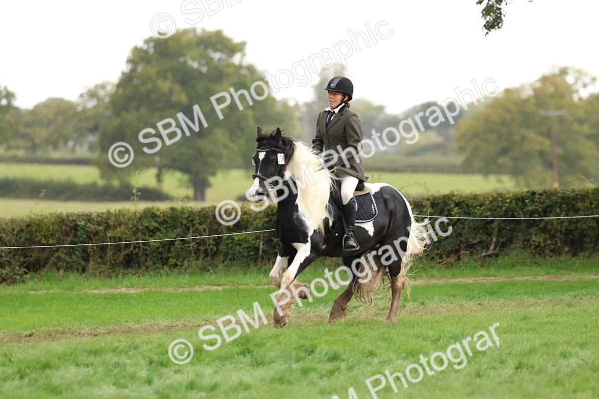 SBM_45015 - S27 - Young Veteran Ridden