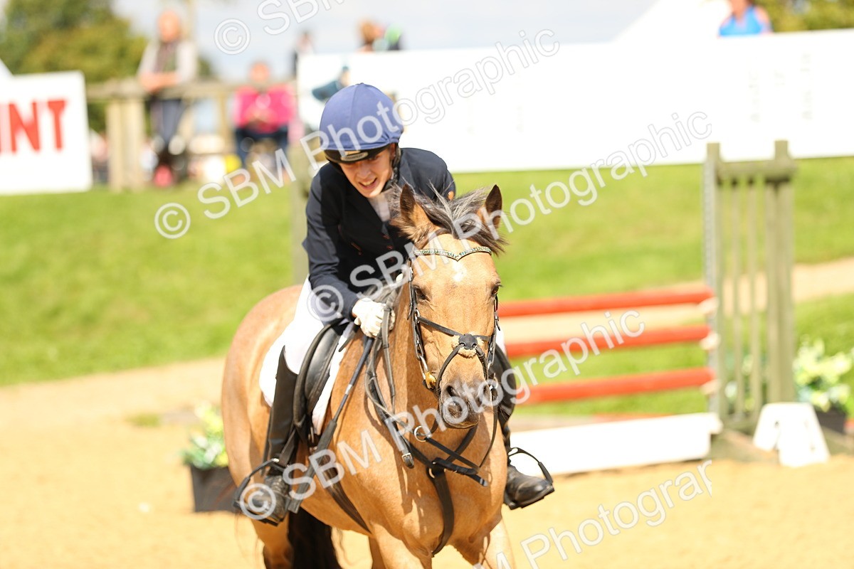 SBM_64128 - Supreme Championship - AM