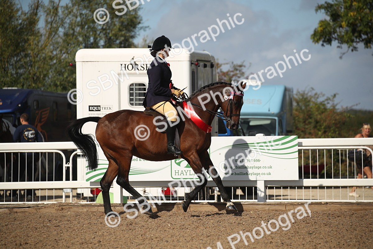 SBM_22876 - Class 602 - 2026 Area - Ridden Veteran