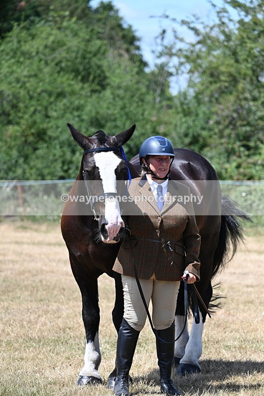 WJ7_2450 - Class 5a Most Handsome Gelding in hand (above 14.2hh)
