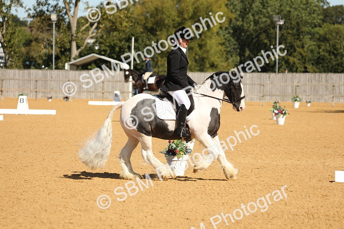 SBM_18886 - D10 - Small Tour Championship - Prelim 2