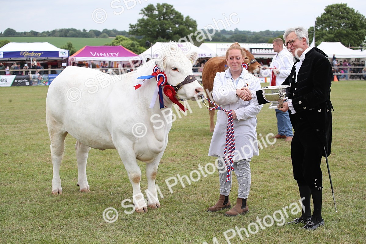 SBM_07917 - Grand Parade