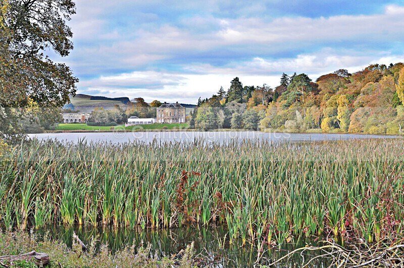 1 - Autumn around Selkirk