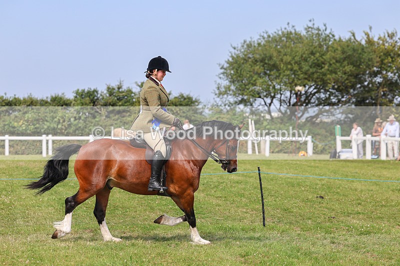 IMG_3721 - M & M Ridden Championship
