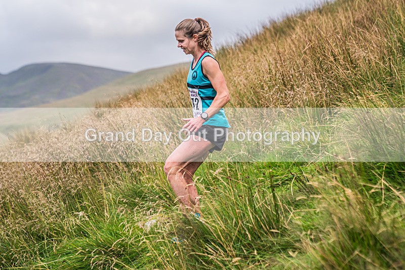 Steel Fell-474 - Steel Fell Race Wednesday 7th August 2024