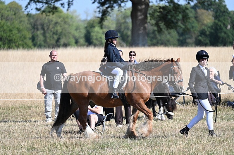 WJ7_3052 - Class 8 Ridden Tack & Turnout