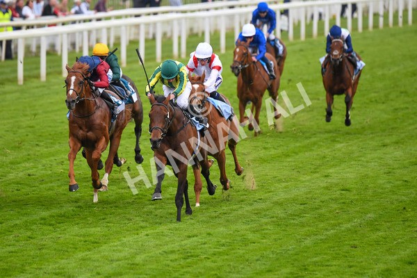 180523-Race 7-Chesspiece-0871 - Race 7 5.20pm Collective Green Energy Handicap