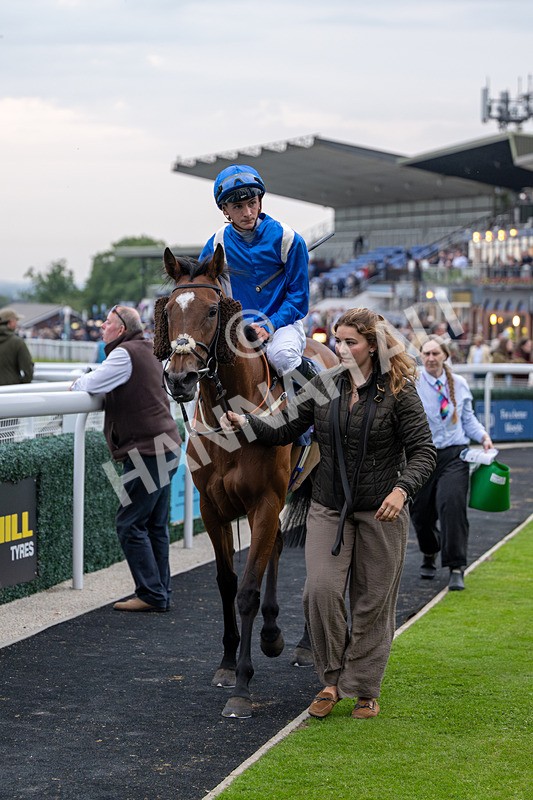160626-Race 6-Regal Glory-5744 - Race 6 21.00pm Napoleons Casino And Restaurant Hull Handicap