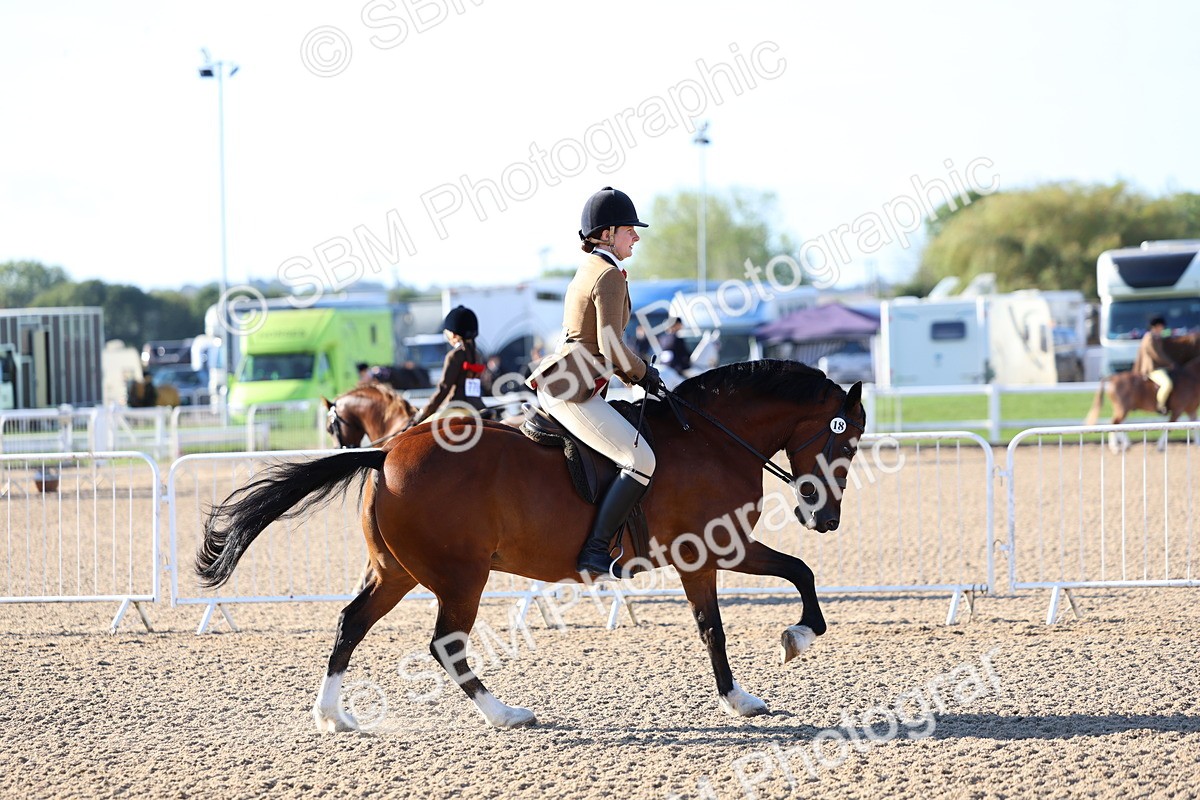SBM_08753 - Class 302 - Ridden M&M - Large Breeds