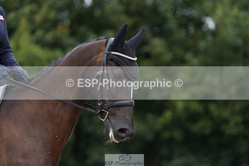 250907-114517-06155 - 094-Patricia.SmithJoost