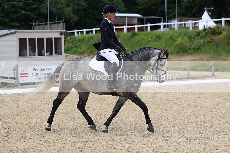 3E7A1716 - Class 2: Intro 2 2024 Section B