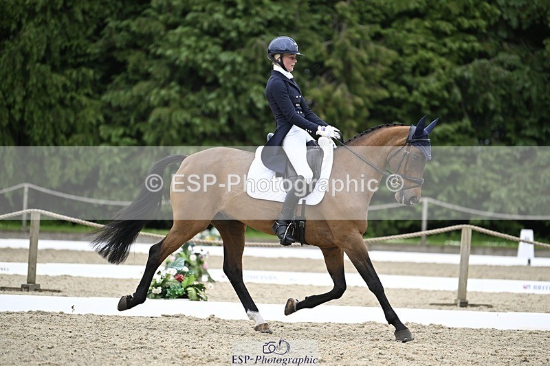 240523-144917-05106 - 442-FERNHILL_ZORO-Cassie_Sanger