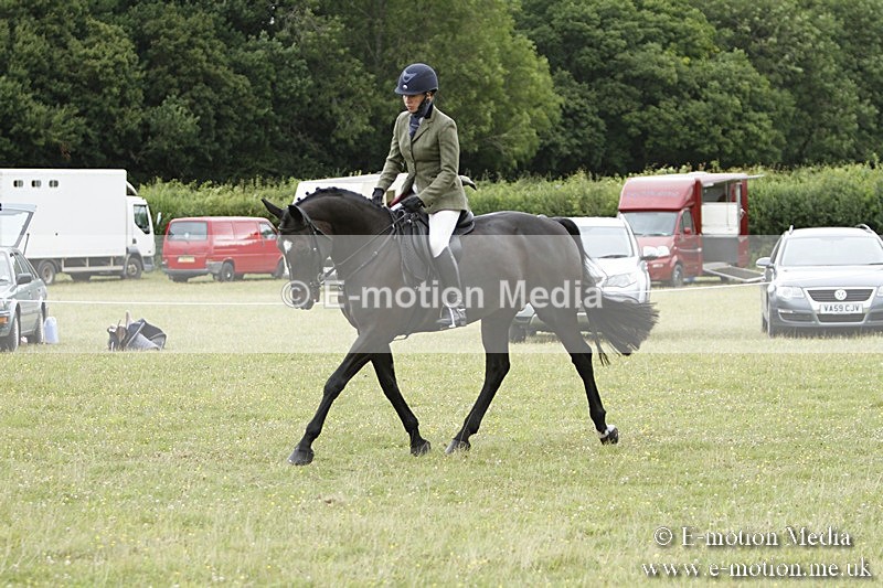 BVR160717-972 - Ring 3 BVRC Show 16/07/17