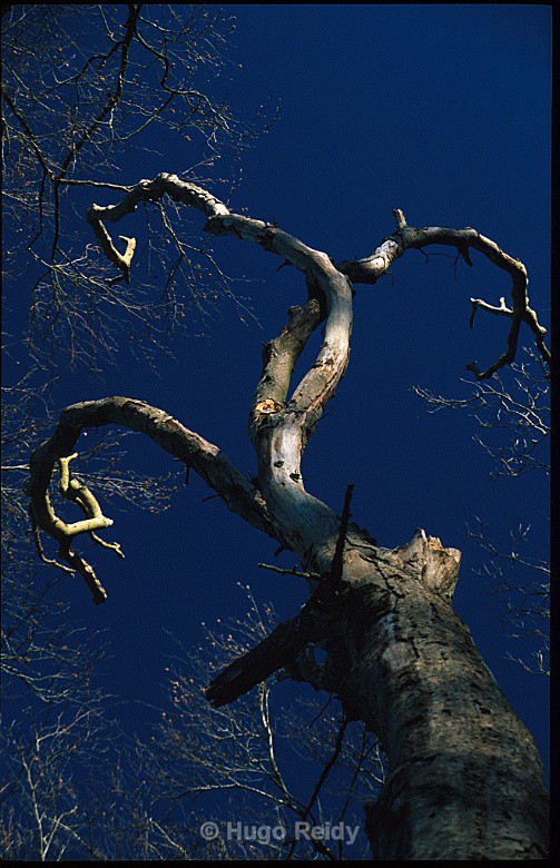  - Landscape & Rivers