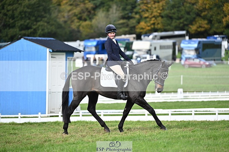 251024A-141221-12361 - D-369-Rosie.Moreton