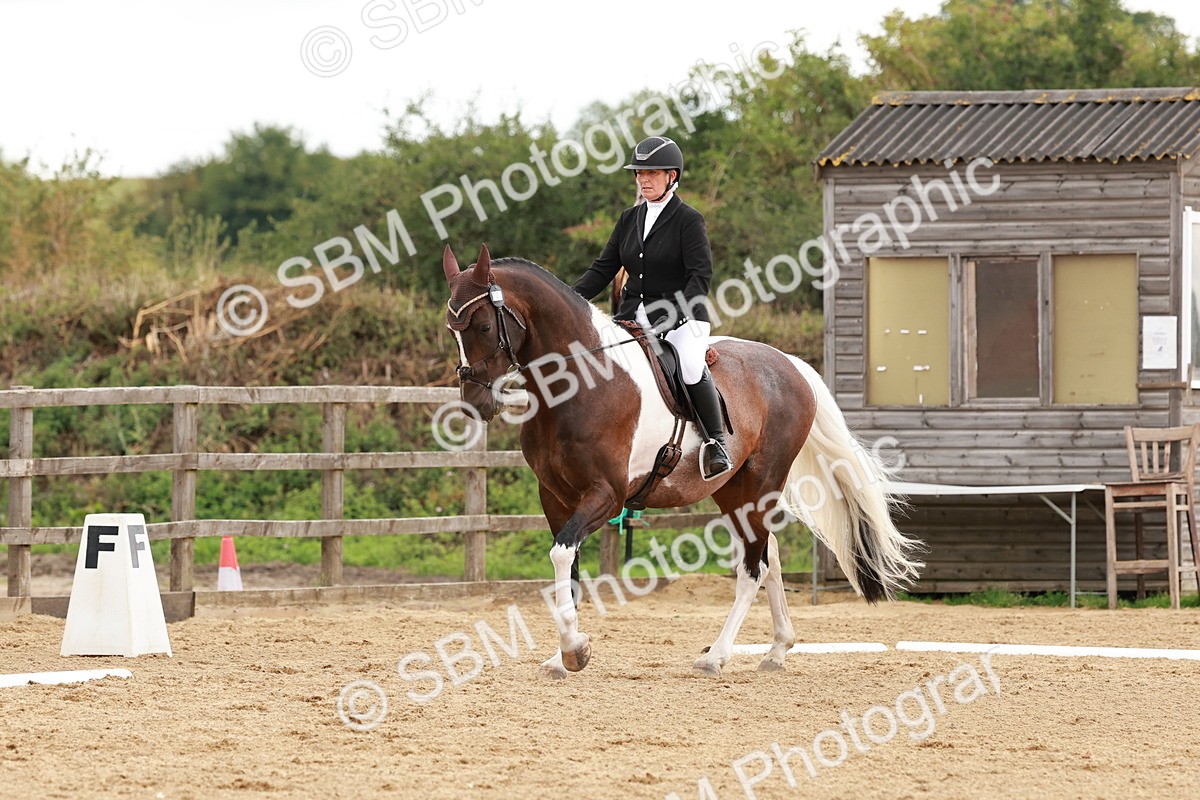 SBM_002761 - Novice 2