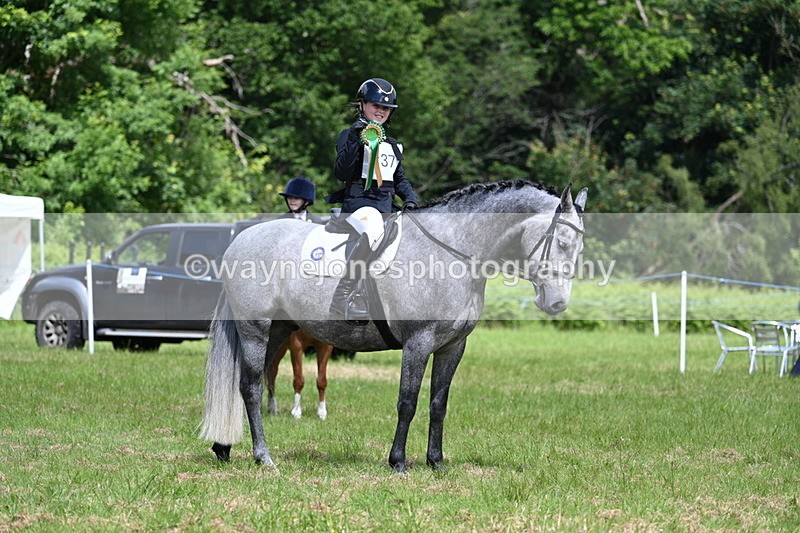 WJ7_1830 - Class 9 Pony Club Pony