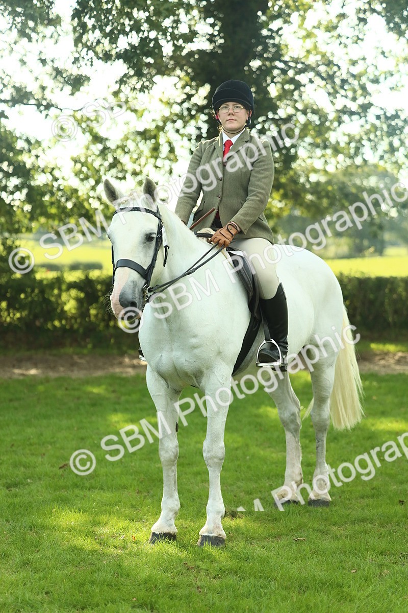 SBM_52178 - S33 - Working Hunter & Working Show Horse