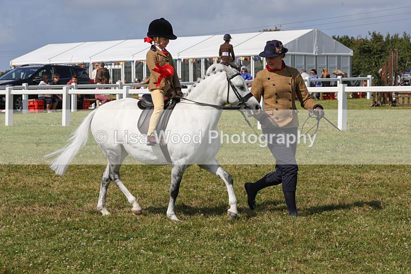 1X9A3693 - Class 29: Lead Rein SP/SHP