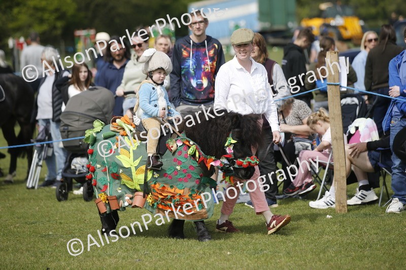 20260426-1288 - Class 6 - Fancy Dress