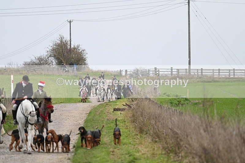 WJ7_1175 - Walk Home