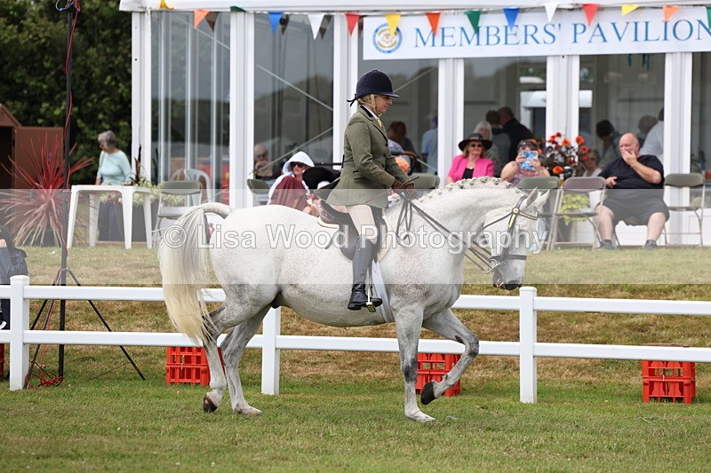 3E7A0830 - Class 8: Open Riding Horse/Hack