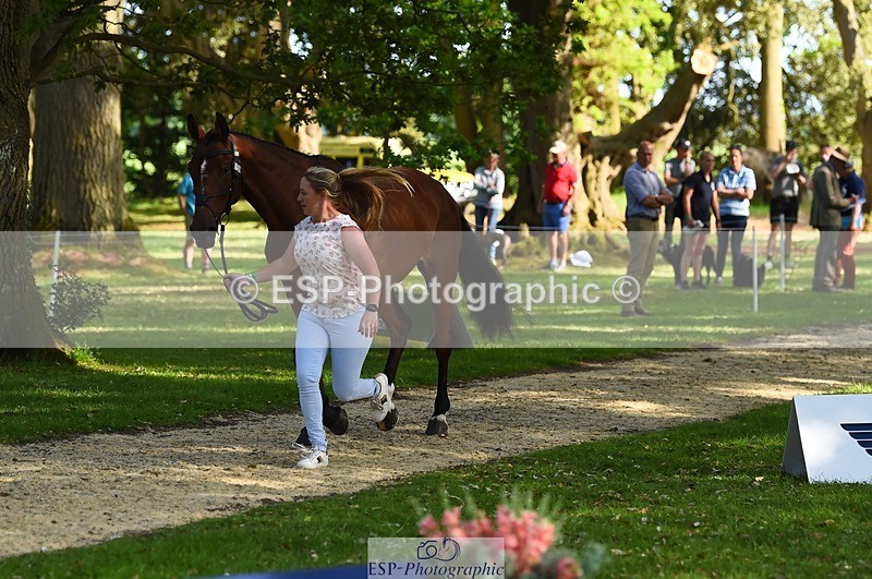 230524-171130-01336 - 158-RED_LETTER_DAY_II_(GB)-Imogen_Murray-WEDTrotUp+DR