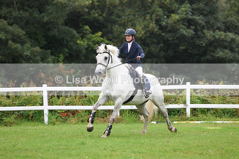 3E7A1226 - Class 5: 80cm open (A)