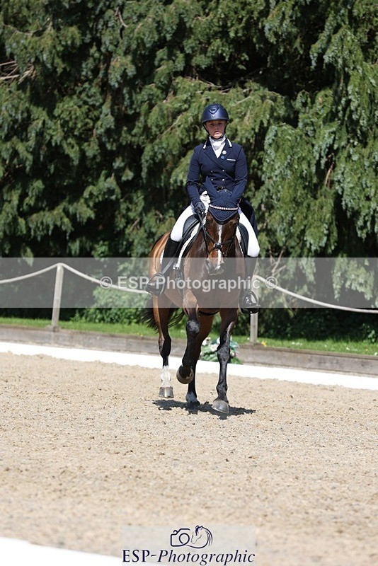 230526-151621-06666 - 379-QUIZICAL_Z-Alice_Hallows-WEDTrotUp+DR