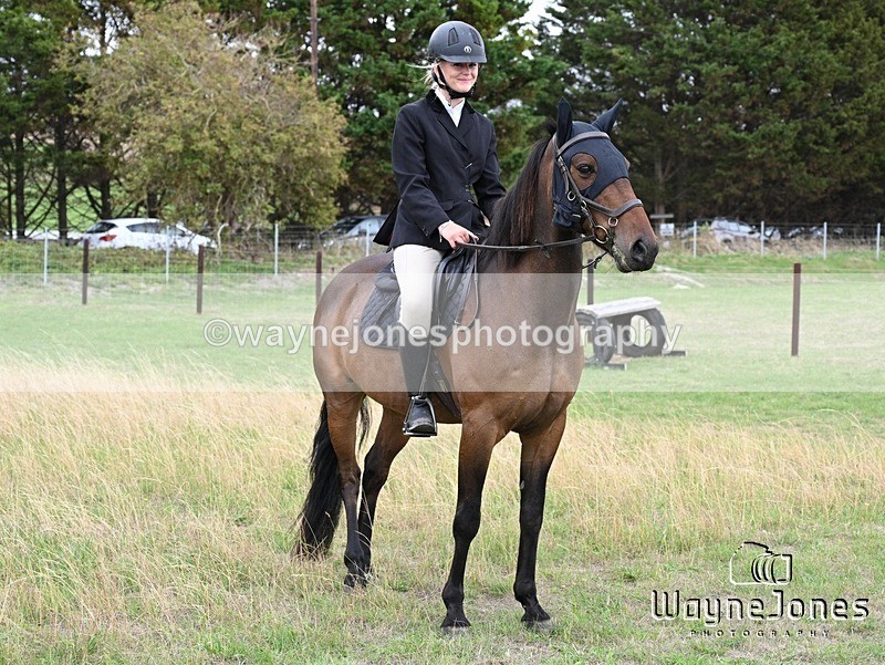 WJ7_0729 - Berks & Bucks Hound Exercise Blewbury 13-09-26