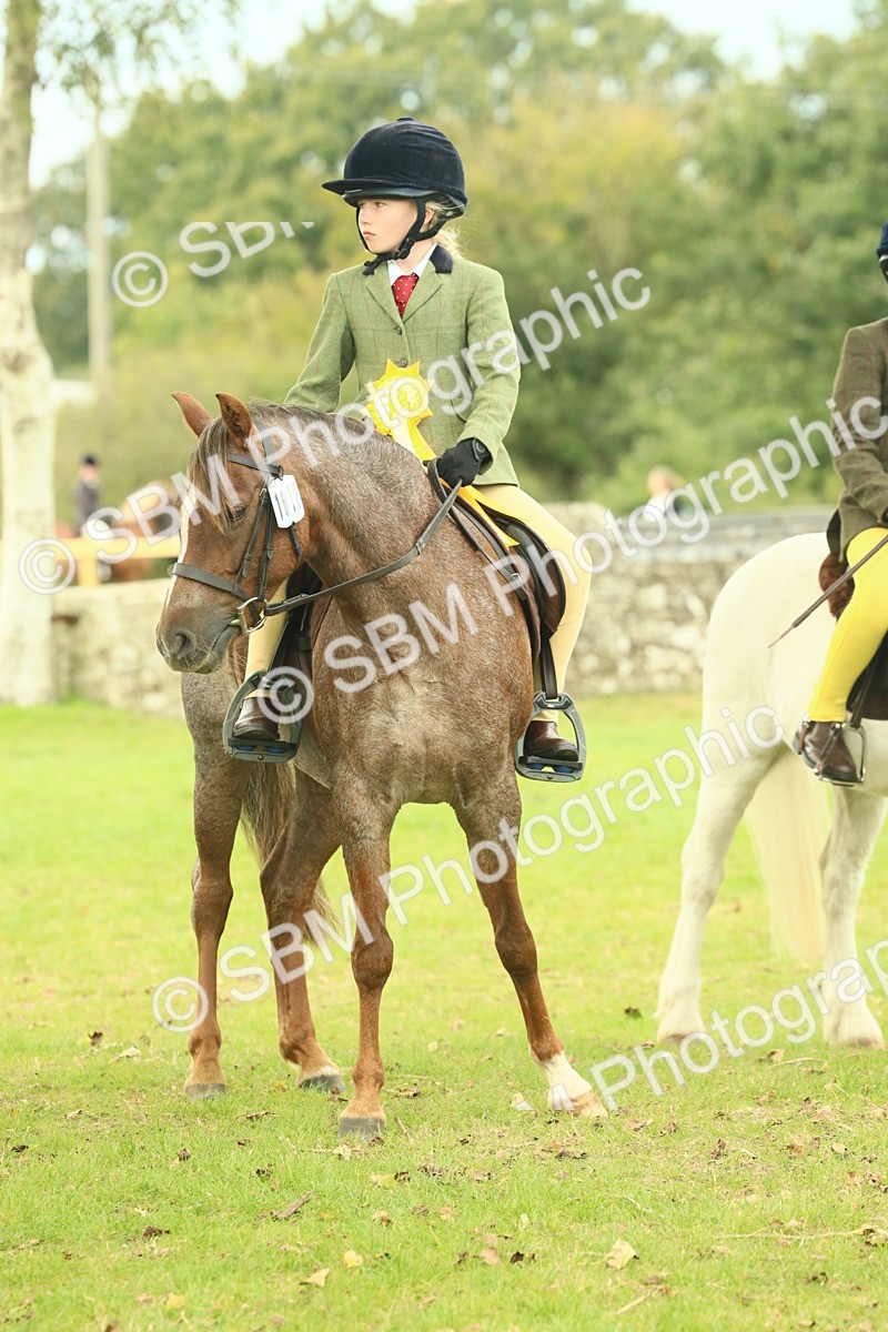 SBM_70053 - S59 - Mountain & Moorland Ridden Small Breeds