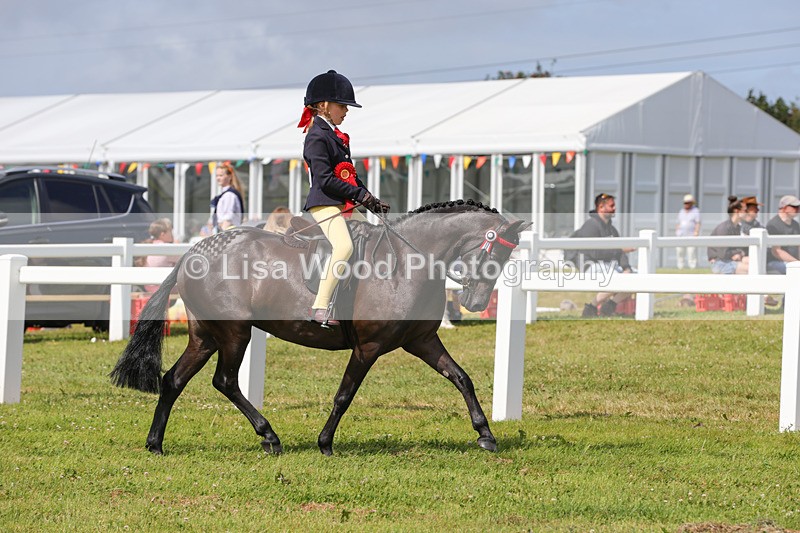 1X9A3813 - Plaited Mini Ridden Championship