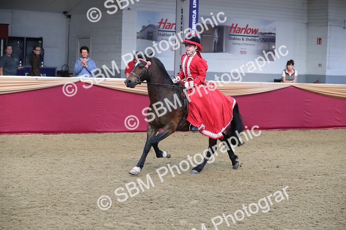 SBM_11307 - Class 104 Ridden Costume - Astride Junior