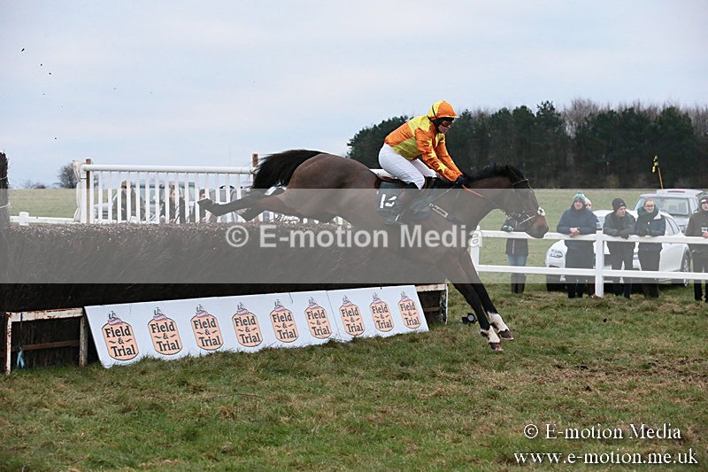 PtP 060119 590 - Larkhill Racing Club - Point-to-Point- 06/01/2019