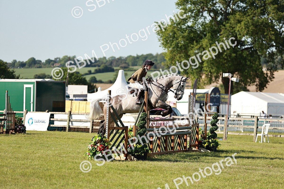 SBM_19945 - Class 115-116 - LIHS BSHA Rising Star Working Hunter & Show Horse