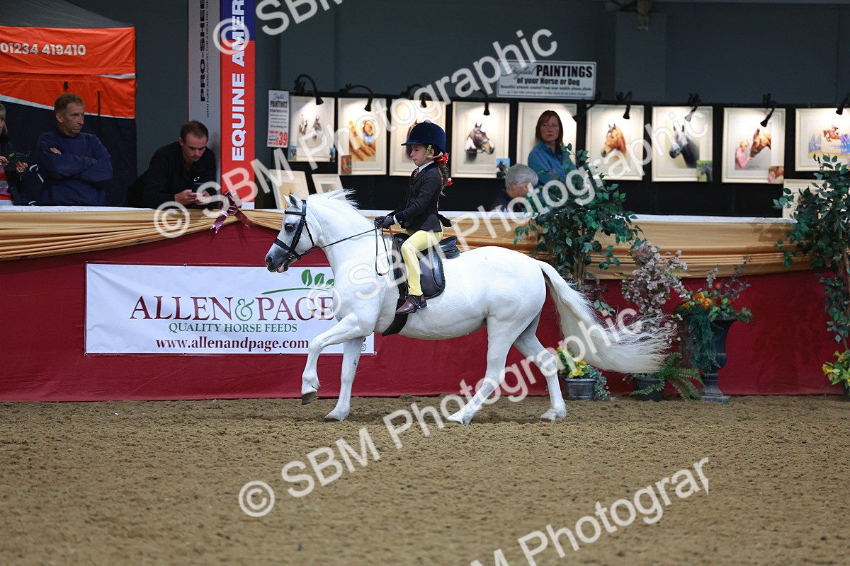 SBM_10700 - Class 103 - HOYS Veteran Qualifier - Ridden Pre Vet